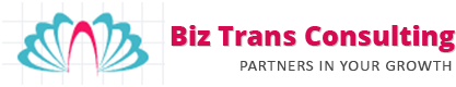 Biz Trans Consulting